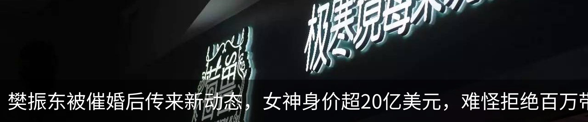 最新动态